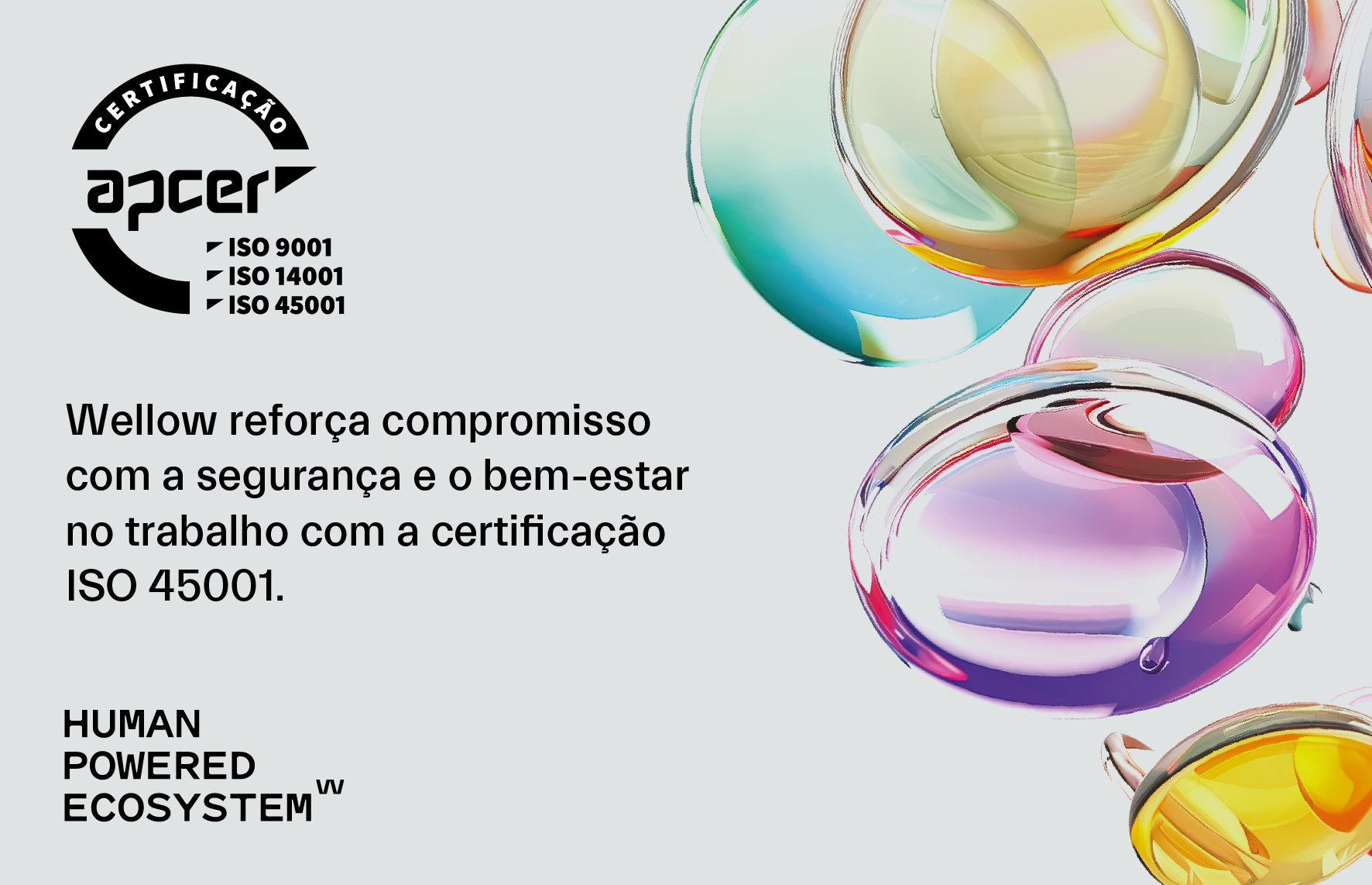 WellowNetwork ISO45001 L1